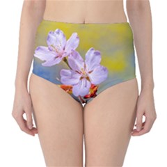 Sakura Flowers On Yellow Classic High-waist Bikini Bottoms by FunnyCow