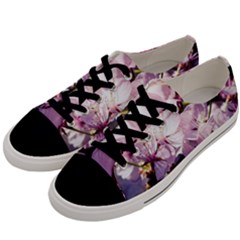 Sakura In The Shade Men s Low Top Canvas Sneakers by FunnyCow