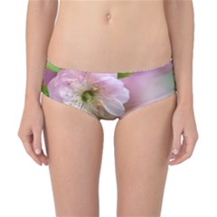 Single Almond Flower Classic Bikini Bottoms by FunnyCow