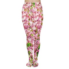 Almond Tree In Bloom Women s Tights by FunnyCow