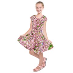 Almond Tree In Bloom Kids  Short Sleeve Dress by FunnyCow