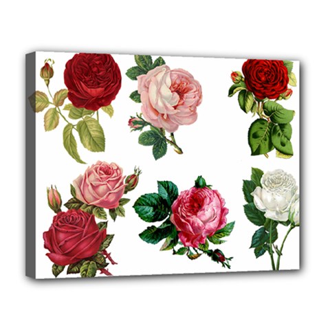 Roses 1770165 1920 Canvas 14  X 11  (stretched) by vintage2030
