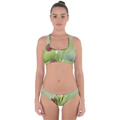 One More Bottle Does Not Hurt Cross Back Hipster Bikini Set by FunnyCow