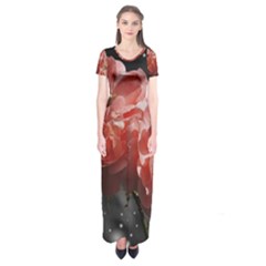 Rose 572757 1920 Short Sleeve Maxi Dress by vintage2030
