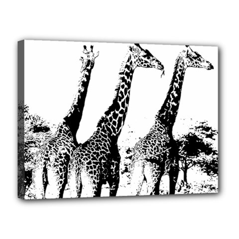 Giraffe  Canvas 16  X 12  (stretched) by Valentinaart