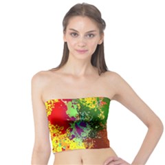 Embroidery Dab Color Spray Tube Top by Sapixe