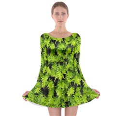 Green Hedge Texture Yew Plant Bush Leaf Long Sleeve Skater Dress by Sapixe