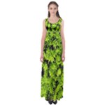 Green Hedge Texture Yew Plant Bush Leaf Empire Waist Maxi Dress