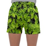 Green Hedge Texture Yew Plant Bush Leaf Sleepwear Shorts