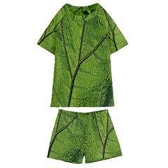 Butterbur Leaf Plant Veins Pattern Kids  Swim Tee And Shorts Set