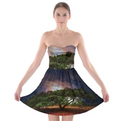 Lone Tree Fantasy Space Sky Moon Strapless Bra Top Dress by Alisyart
