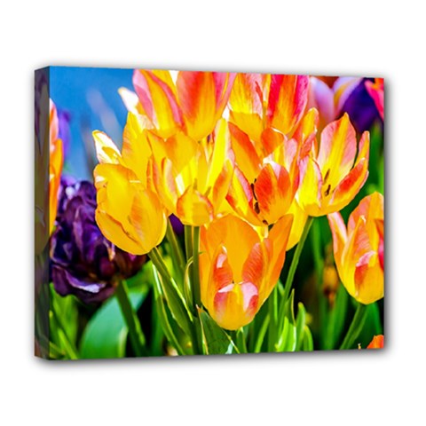 Festival Of Tulip Flowers Deluxe Canvas 20  X 16  (stretched) by FunnyCow