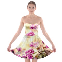 Paradise Apple Blossoms Strapless Bra Top Dress by FunnyCow