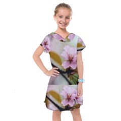 Soft Rains Of Spring Kids  Drop Waist Dress by FunnyCow