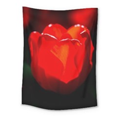 Red Tulip A Bowl Of Fire Medium Tapestry by FunnyCow