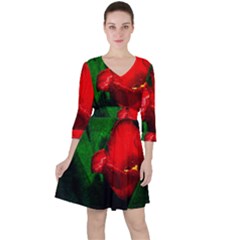 Red Tulip After The Shower Ruffle Dress by FunnyCow