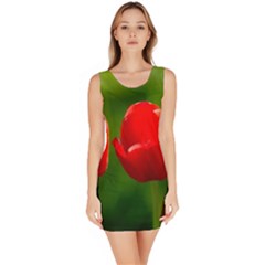 Three Red Tulips, Green Background Bodycon Dress by FunnyCow