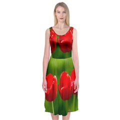 Three Red Tulips, Green Background Midi Sleeveless Dress by FunnyCow