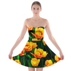 Yellow Orange Tulip Flowers Strapless Bra Top Dress by FunnyCow