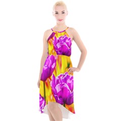 Violet Tulip Flowers High-low Halter Chiffon Dress  by FunnyCow