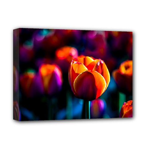 Red Tulips Deluxe Canvas 16  X 12  (stretched)  by FunnyCow