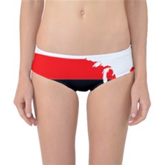 Pan-african Flag Map Of United States Classic Bikini Bottoms by abbeyz71