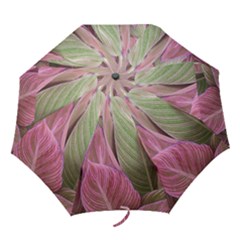Pink Leaves Folding Umbrellas by snowwhitegirl