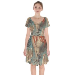 Vintage 1181673 1280 Short Sleeve Bardot Dress by vintage2030