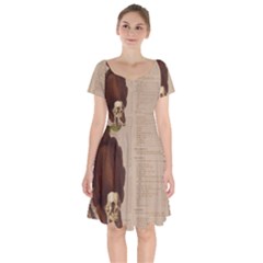 Vintage 1181679 1280 Short Sleeve Bardot Dress by vintage2030