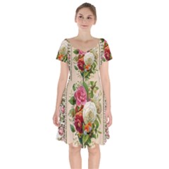 Ornate 1171143 1280 Short Sleeve Bardot Dress by vintage2030