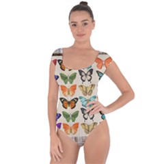 Butterfly 1126264 1920 Short Sleeve Leotard  by vintage2030