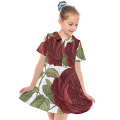Rose 1077964 1280 Kids  Short Sleeve Shirt Dress by vintage2030