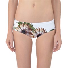 Sun Daisies Leaves Flowers Classic Bikini Bottoms by Celenk