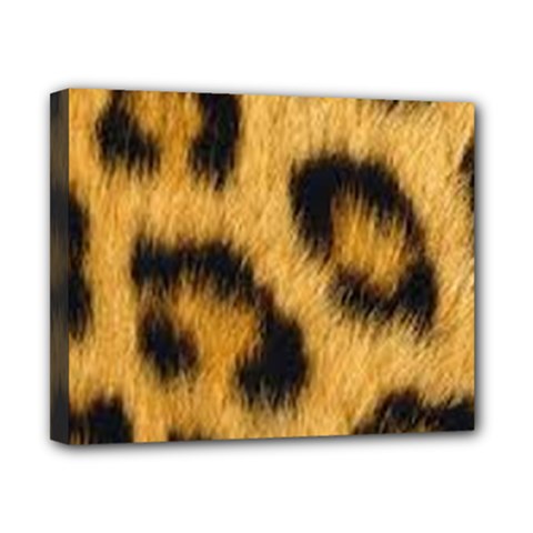 Animal Print Leopard Canvas 10  X 8  (stretched) by NSGLOBALDESIGNS2