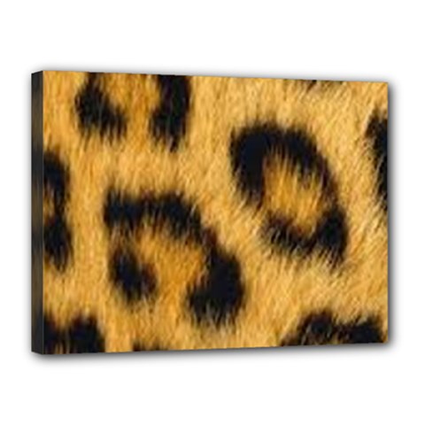 Animal Print 3 Canvas 16  X 12  (stretched) by NSGLOBALDESIGNS2