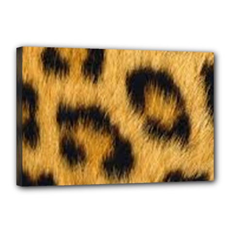 Animal Print 3 Canvas 18  X 12  (stretched) by NSGLOBALDESIGNS2