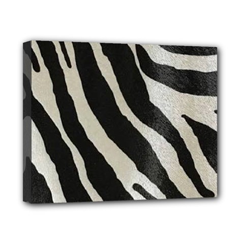 Zebra Print Canvas 10  X 8  (stretched) by NSGLOBALDESIGNS2