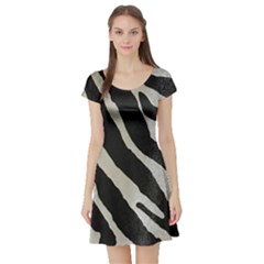 Zebra Print Short Sleeve Skater Dress by NSGLOBALDESIGNS2