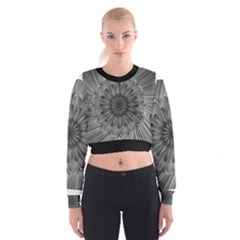 Sunflower Print Cropped Sweatshirt by NSGLOBALDESIGNS2