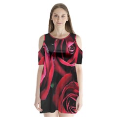 Red Roses Shoulder Cutout Velvet One Piece by bloomingvinedesign