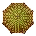 Digital Art Art Artwork Abstract Golf Umbrellas View1