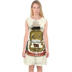 Historical Coat Of Arms Of Delaware Capsleeve Midi Dress by abbeyz71