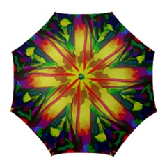 Abstract Vibrant Colour Botany Golf Umbrellas by Sapixe