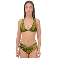Dragonfly Dragonfly Wing Close Up Double Strap Halter Bikini Set