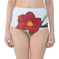 Deep Plumb Blossom Classic High-waist Bikini Bottoms by lwdstudio