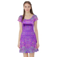 Hot Pink And Purple Abstract Branch Pattern Short Sleeve Skater Dress by myrubiogarden