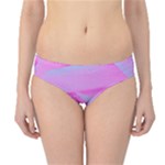 Perfect Hot Pink And Light Blue Rose Detail Hipster Bikini Bottoms