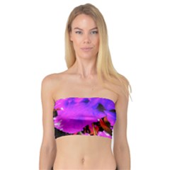 Abstract Ultra Violet Purple Iris On Red And Pink Bandeau Top by myrubiogarden