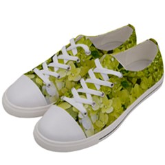 Elegant Chartreuse Green Limelight Hydrangea Macro Women s Low Top Canvas Sneakers by myrubiogarden