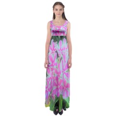 Hot Pink And White Peppermint Twist Garden Phlox Empire Waist Maxi Dress by myrubiogarden